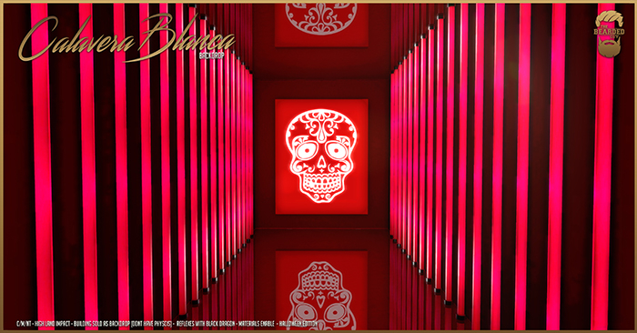 Calavera Blanca Backdrop - The Bearded Guy