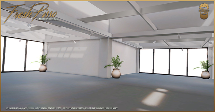 Empty Office - Fresh Pisso Backdrop - The Bearded Guy