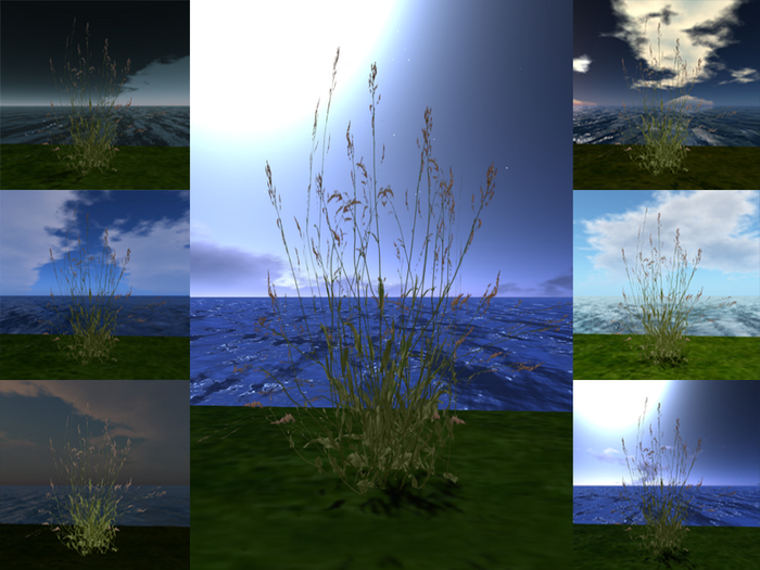 ::SA:: Grass flower 2