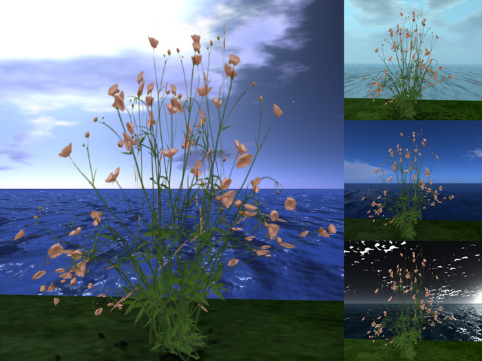 ::SA:: Grass flower 1