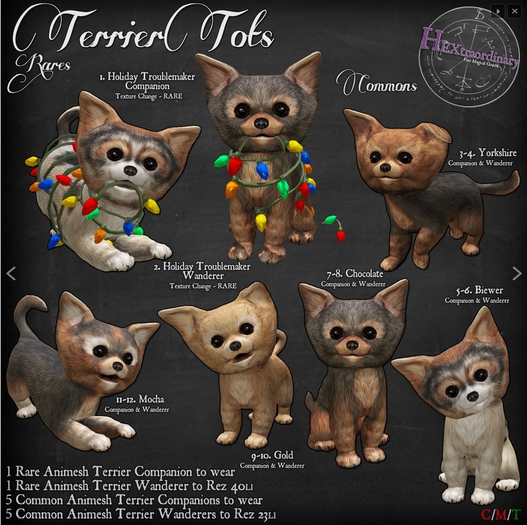 1. HEXtraordinary Holiday Troublemaker - Companion - RARE