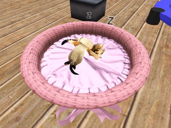 WW A.I.F Pet Bed Country - 4 MP (ADD)