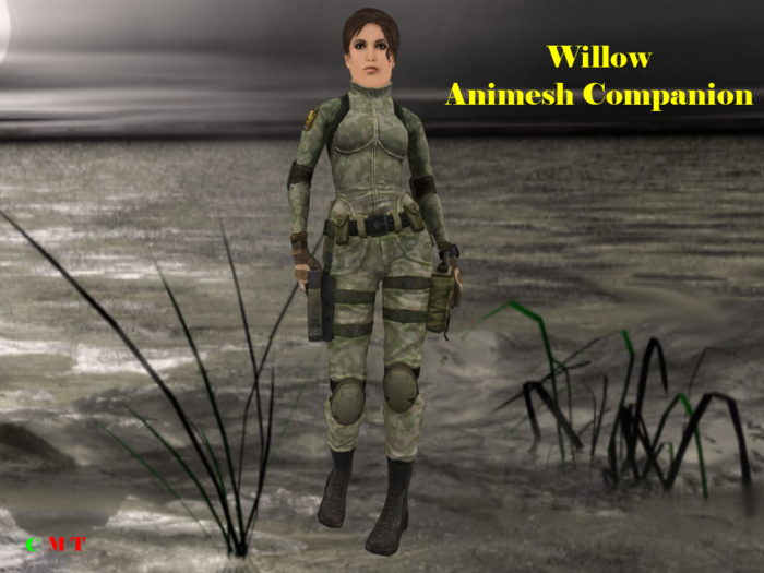 ~Willow Animesh Companion~