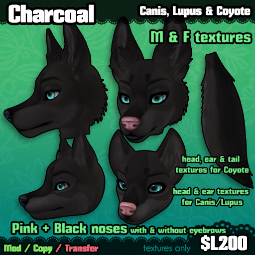 Charcoal - Canis/Lupus/Coyote