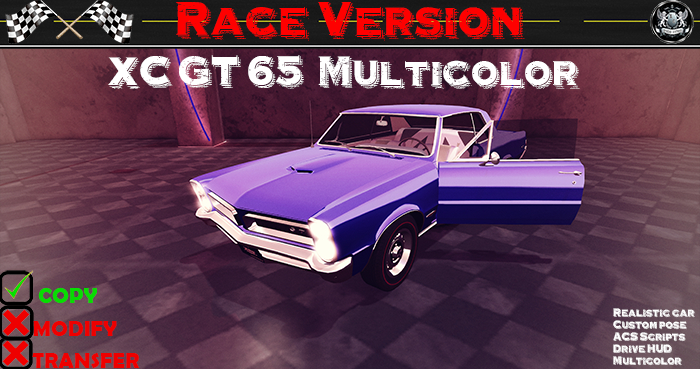 XC GT '65 race multicolor (box)