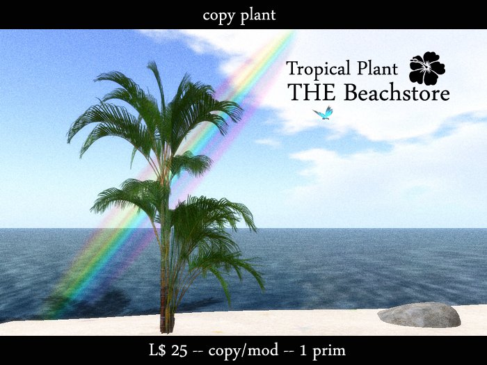 Beachstore / Tropical Plant