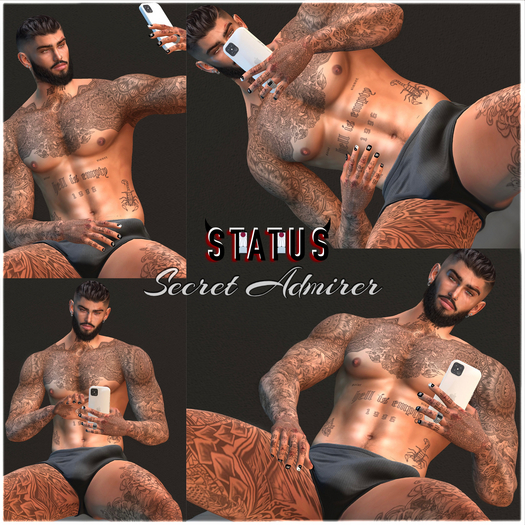STATUS ~ Secret Admirer Posepack
