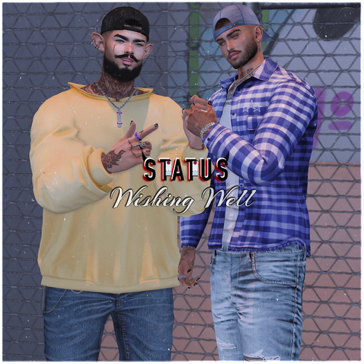 STATUS ~ Wishing Well 