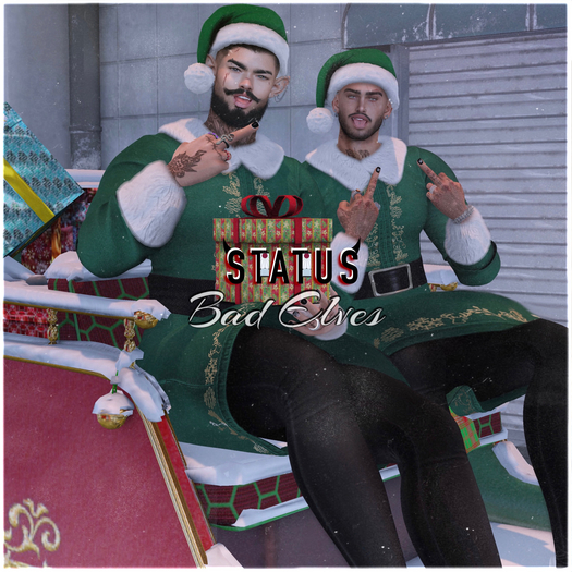 STATUS ~ Bad Elves