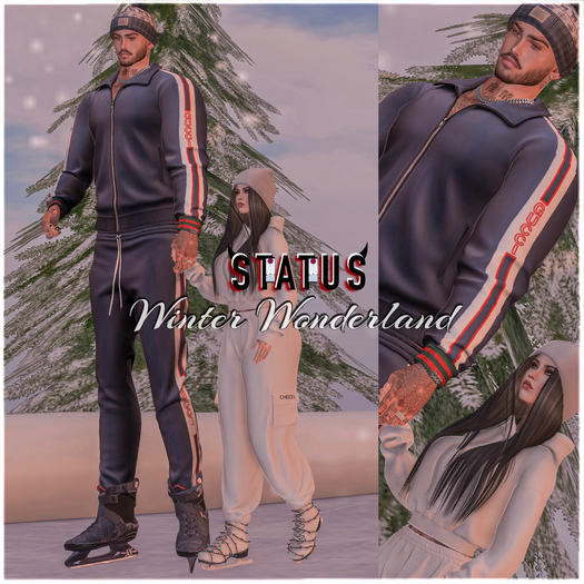 STATUS ~ Winter Wonderland