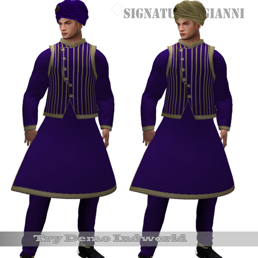 !!! Revna !!! Indian Koti Dress Gianni Purple