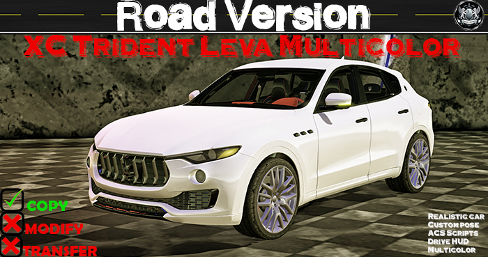 XC Trident Leva road multicolor (box)