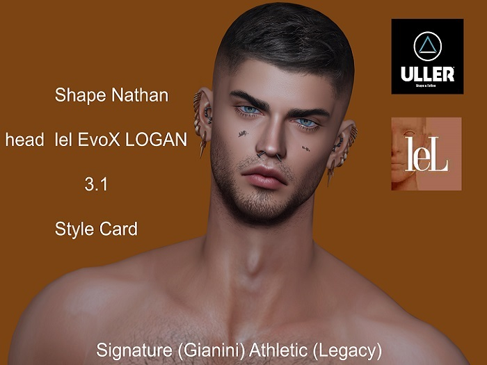 shape Nathan lel EvoX LOGAN 3.1