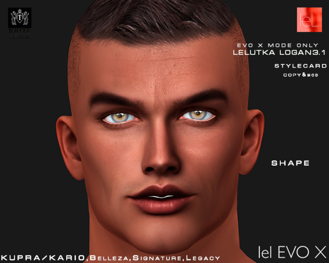 ::TW::Shape for lelutka LOGAN 3.1 evo x 