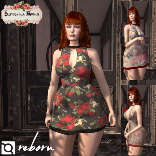 Mini dress 02 flowers Reborn (box)