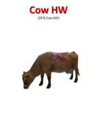 DFS Cow HW (DFS Texture Only)