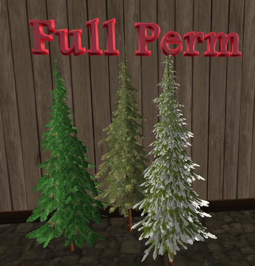 3 Pencil Pines FULL PERM