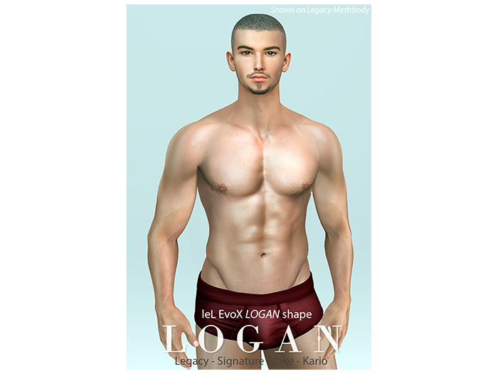 Logan shape (gift) 