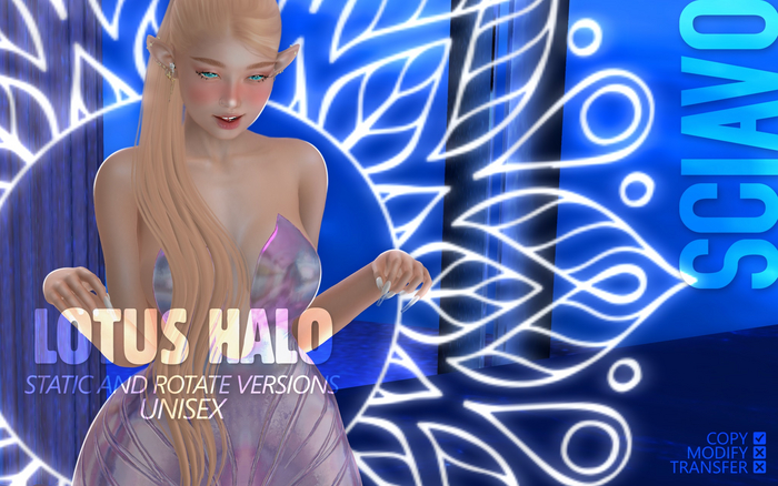 SCIAVO - Lotus Halo