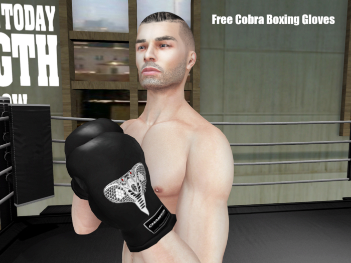 TheDarkHand - Cobra Boxing Gloves