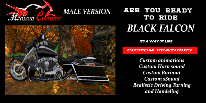 Motorcycle Black Falcon MALE 