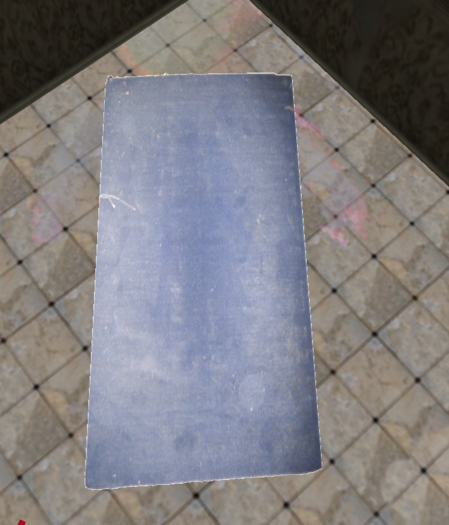 Nasty Dirty Carpet