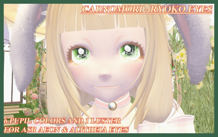 RYOKO EYES (ASR APPLIER)