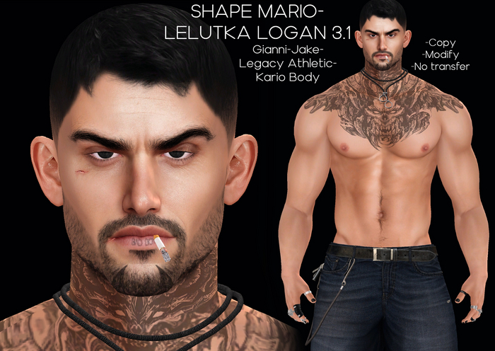 SHAPE MARIO-LELUTKA LOGAN 3.1