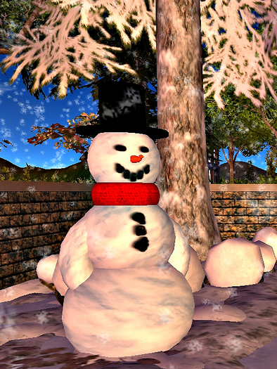Mr. Frost