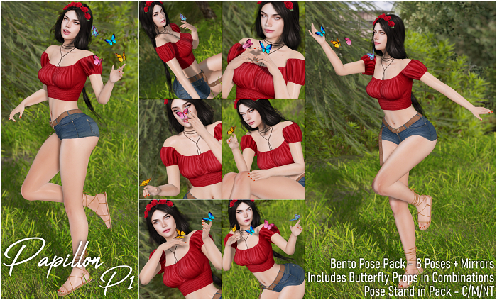 [piXit] Papillon - P1