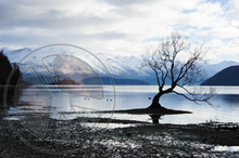 58 - Winter - Dead Black Tree - Lake - Snowy Mountains - Land Divider - Privacy Screen