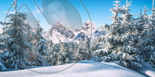 60 - Winter - Snowy Mountains and Pines - Land Divider - Privacy Screen