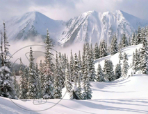 62 - Winter - Snowy Mountains and Pines - Land Divider - Privacy Screen 2x