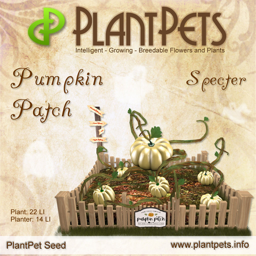 PlantPet Seed [Pumpkin Patch *Specter*]