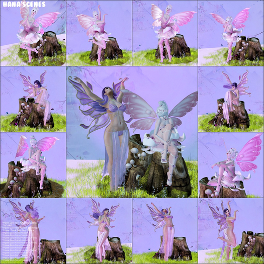 Hpose Zaya Fairy Fatpack (Box)