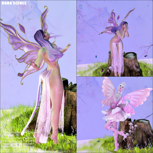 Hpose Zaya Fairy Set 3 (Box)