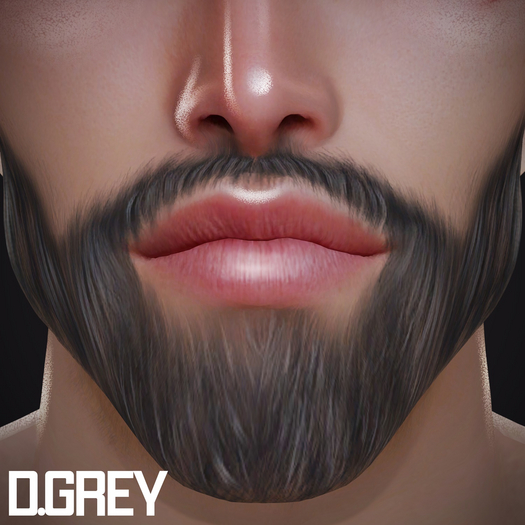 BRABUS - Magnus Beard // D.Grey