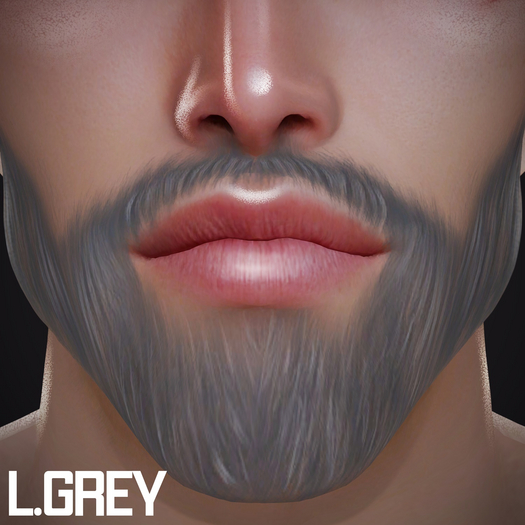 BRABUS - Magnus Beard // L.Grey