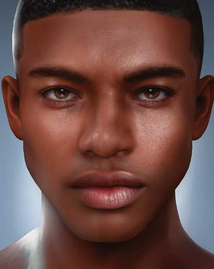 VELOUR HOMME: "DANILO" SKIN FOR EVO X (RICH)