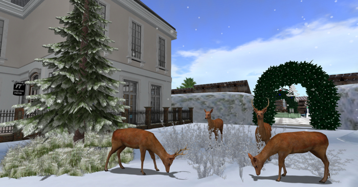 ~FT~ winter scene_1 