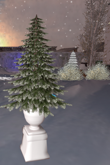 ~FT~ Pine tree on pedestal 