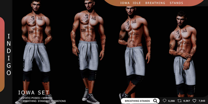 [InDiGo] Iowa Idle Breathing & Static Stands