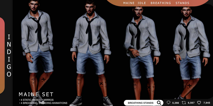 [InDiGo] Maine Idle Breathing & Static Stands