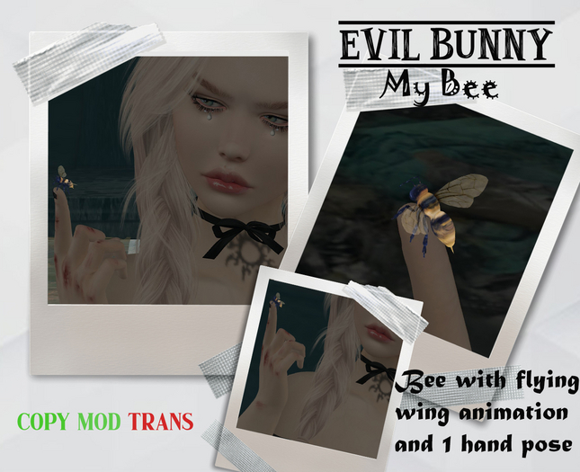 .:: Evil Bunny ::. My Bee!