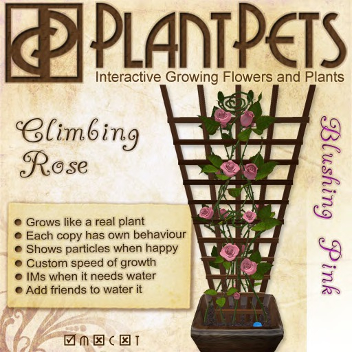 PlantPet Seed [Climbing Rose *Blushing Pink*] Updated