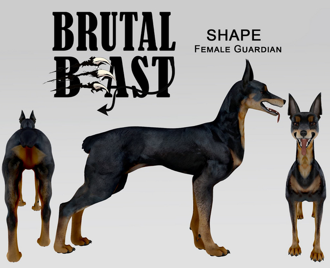 Female Guardian
