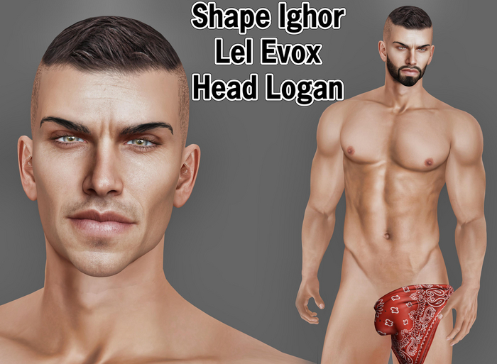 !O.S! shape Ighor Lel head Logan - evox