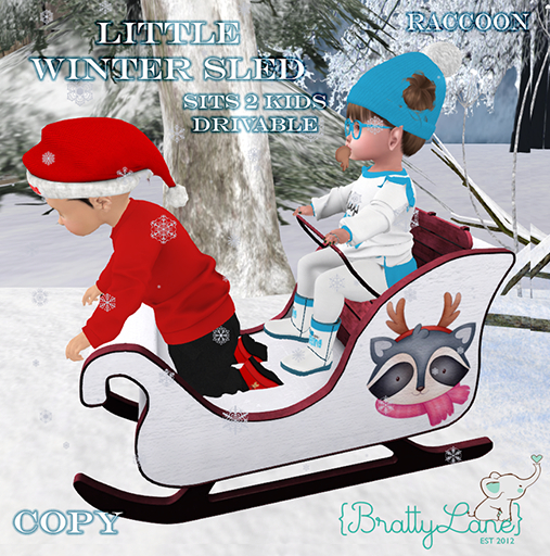 {BL}Little Winter Sled-Raccoon