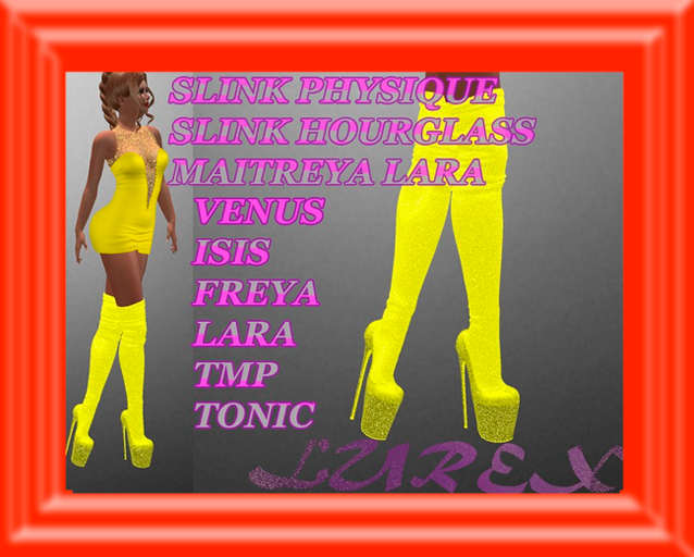 Socks & Pumps 73 DEMO