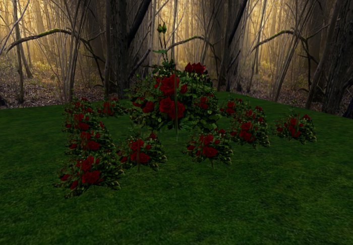 rose bush crimson 1 huge